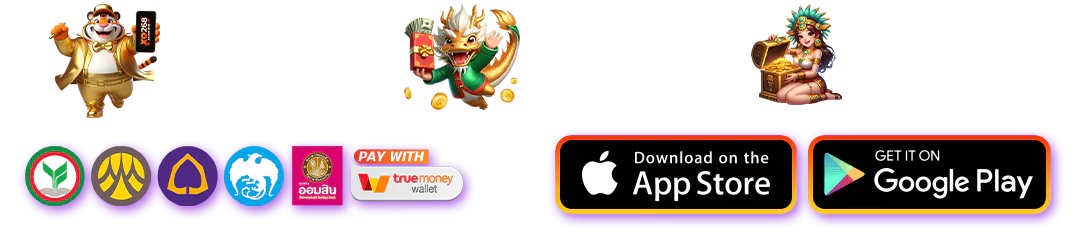 aomsinplus